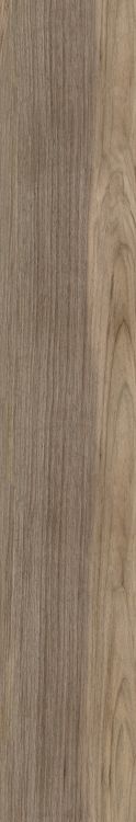 Harper Taupe 10 x 60